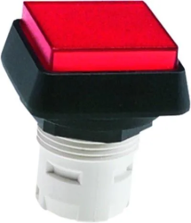 1.30.070.551/0000 - RAFI USA