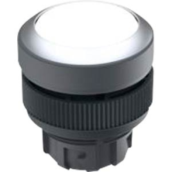 1.30.240.021/1000 - RAFI USA