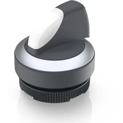 1.30.272.202/2200 - RAFI USA