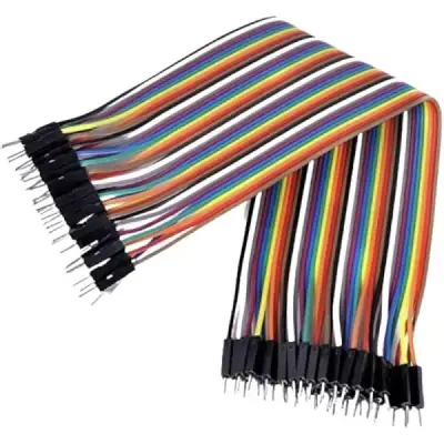 2 PIN M-M Jumper Cable - 700MM - 1