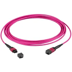 FO patch cable, MTP-F to MTP-F, 1 m, OM4, multimode 50/125 µm, MTPF12MTPFOM4-1-A