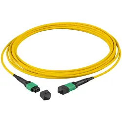 FO patch cable, MTP-F to MTP-F, 2 m, OS2, singlemode 9/125 µm, MTPF12MTPFOS2-2-A