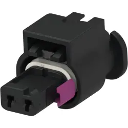 Socket, unequipped, 2 pole, straight, 1 row, black, 1-1670916-1