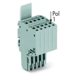 2-wire female connector, 5 pole, pitch 3.5 mm, straight, gray, 2020-205/124-000