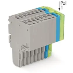 2-wire female connector, 11 pole, pitch 3.5 mm, straight, gray/blue/green-yellow, 2020-211/000-038
