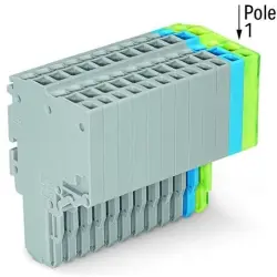 2-wire female connector, 13 pole, pitch 3.5 mm, straight, gray/blue/green-yellow, 2020-213/000-038