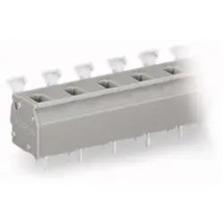PCB terminal, 2 pole, pitch 10 mm, AWG 28-12, 24 A, cage clamp, gray, 255-602