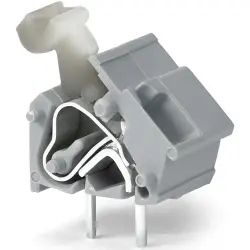 PCB terminal, 1 pole, pitch 10 mm, AWG 28-12, 24 A, cage clamp, light green, 256-867