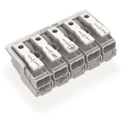 Mains connection terminal, 5 pole, 0.5-2.5 mm², clamping points: 25, white, push-in wire connection, 24 A, 294-5055