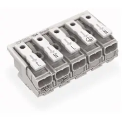 Mains connection terminal, 5 pole, 0.5-2.5 mm², clamping points: 4, white, push-in wire connection, 24 A, 294-8015