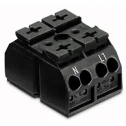 4-wire device connection terminal, 2 pole, pitch 12 mm, 0.5-4.0 mm², AWG 20-12, 32 A, 500 V, push-in, 862-2532