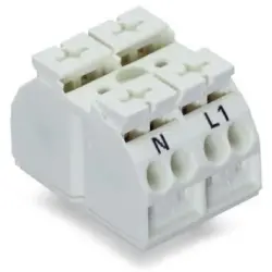 4-wire device connection terminal, 2 pole, pitch 12 mm, 0.5-4.0 mm², AWG 20-12, 32 A, 500 V, push-in, 862-2632