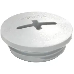 Locking screw, Ø 24 mm, M20, light gray, 10060626