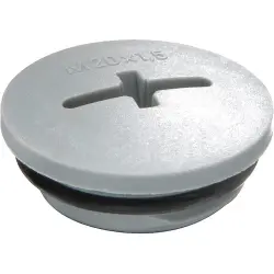 Locking screw, glass fibre-reinforced, M32, IP66/IP68, silver gray, 10064654