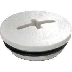 Locking screw, glass fibre-reinforced, M40, IP66/IP68, light gray, 10064639