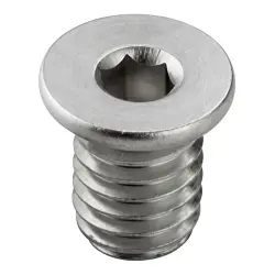 Mounting screw for connection terminal, 0295900000