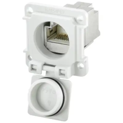 Socket, RJ45, 8 pole, 8P8C, Cat 6, IDC connection, 8808440000 - 1