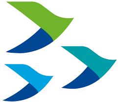 HY Electronic (Cayman) Limited