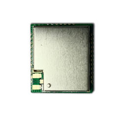 RFM6601W-868S2 - 1