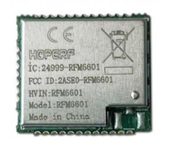 RFM6601W-868S2 - 2