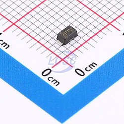 RS1ML