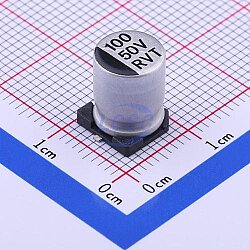 RVT1H101M0810